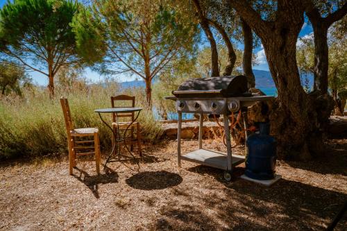 Seafront Traditional Stone House in Sunset Olive Grove - B