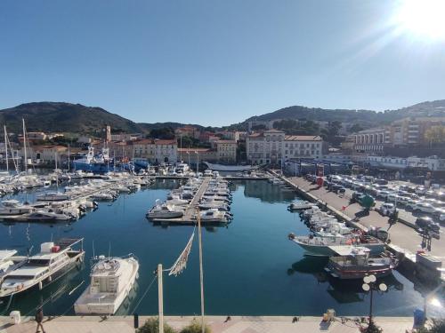 Appartement Port-Vendres, 2 pièces, 4 personnes - FR-1-309-10