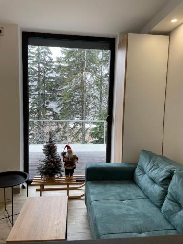 Apartman D with a nice view - Location saisonnière - Bjelašnica