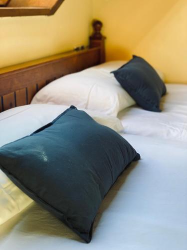 One-Bedroom Apartment (4 Adults)