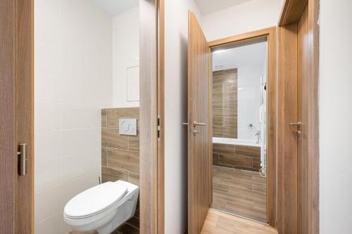 Deluxe Apartment image 10
