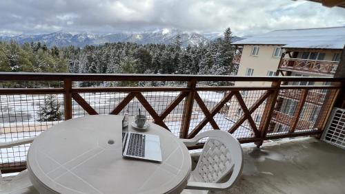  One-Bedroom Apartment with Mountain View