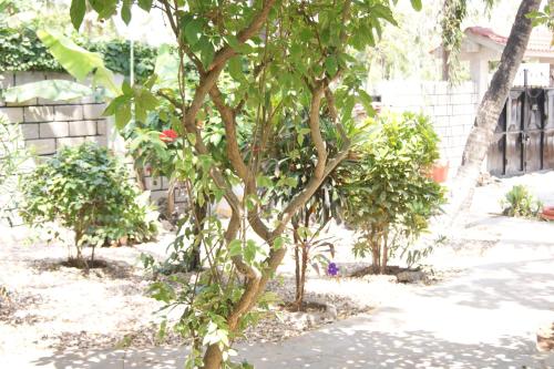Luciano & Grace Apartments, Watamu (fotografie 7)