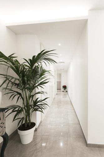 Vaticano Luxury Guest House, Rzym (zdjęcie 7)