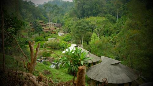 Forest falls Garden Maerim Chiangmai ตาดปลาแคมป์ออร์แกนิคฟาร์มสเตย์เชียงใหม่ Forest falls Garden Maerim Chiangmai ตาดปลาแคมป์ออร์แกนิคฟาร์มสเตย์เชียงใหม่