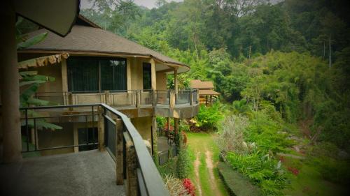 Forest Falls Garden Maerim Chiangmai
