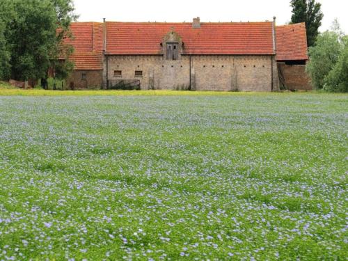 Holiday Home 't Hof der Witte Damen