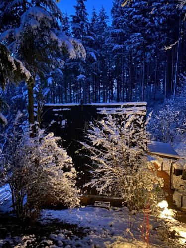 Wald-Chalet Vulkaneifel in Kerschenbach