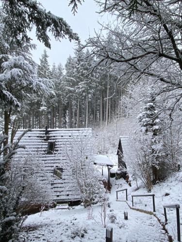 Wald-Chalet Vulkaneifel in Kerschenbach