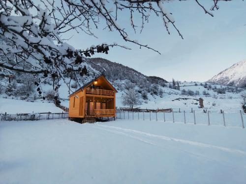 wood house
