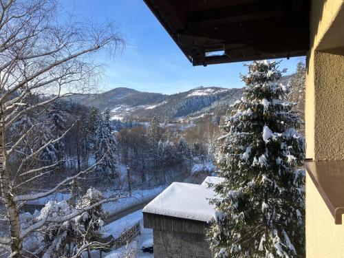 NIEZAPOMINAJKA - image 9