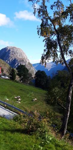 Stalheim Fjord og Fjellhytter - Accommodation - Stalheim