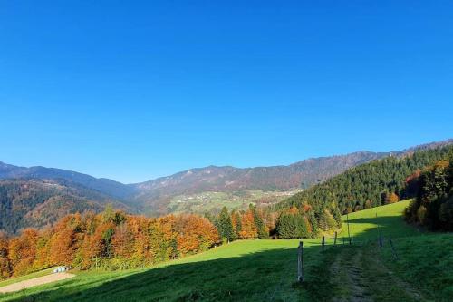 House Pucnk-beautiful countryside