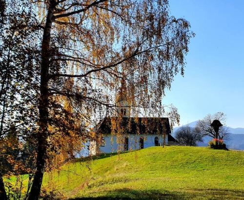 House Pucnk-beautiful countryside