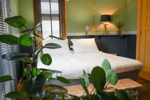 Villa la Vida Room Type - Deluxe Room