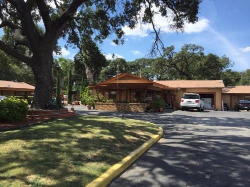 Walnut Forest Motel in Austin, USA