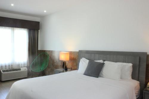 Beverly Hills: Hotel and Business in San Salvador