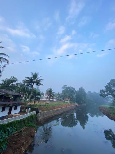 Alappattu meadows - Kizhaparayar