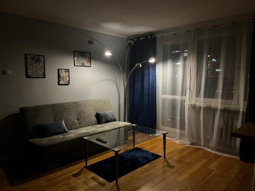 Apartament z widokiem na Spodek, Katowice (foto 4)