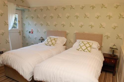 Yr Hafod Country House图片