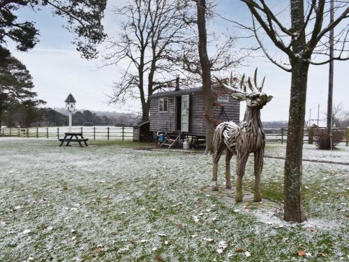 Birchwood House Farm Shepherds Hut