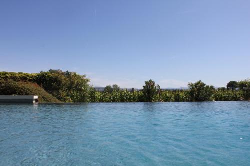 Domaine Faverot photo 16