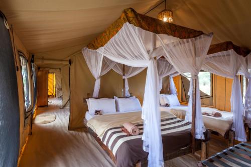 Baobab Tented Camp in 塔蘭吉雷