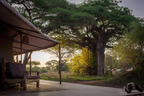 balkon/taras, Baobab Tented Camp in Tarangire