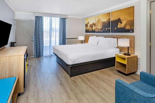 1 king bed