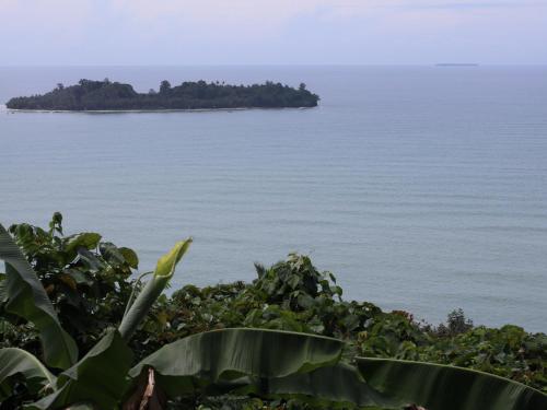 The view padang, Amazing view, food, drink, sleep, transport, 8 mins Mentawai fast ferry