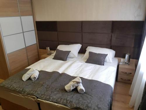 1 king bed, 1 sofa bed