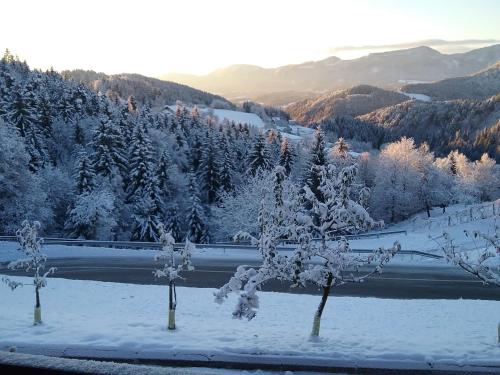 Apartment Jorsi with Mountain View