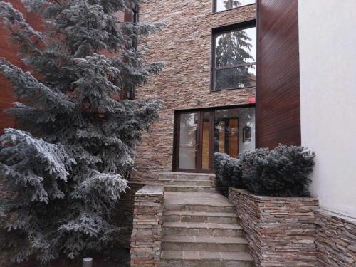 Residence E205 Euphoria Borovets