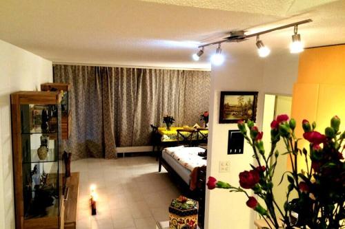  1.5 Room cosy Studio in Birmensdorf -Zurich- 16-1R, Pension in Birmenstorf