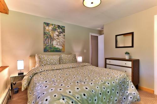 "the SHACK" at Killington- 3BR 1,5BA Remodeled Home, Hot Tub, home in Killington, USA