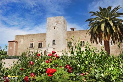 ibis budget Perpignan Centre - image 2