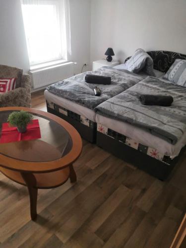 Ubytování v RV - Apartment - Teplice nad Metují