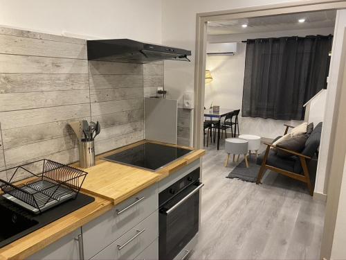 Le Pasteur Duplex Confort Centre Ville - Savianges