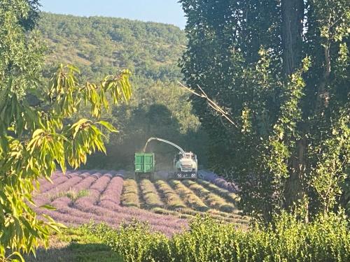Gîte Le Tramontane Meublé de tourisme 4 étoiles Le Moulin de Prédelles - Sainte-Tulle