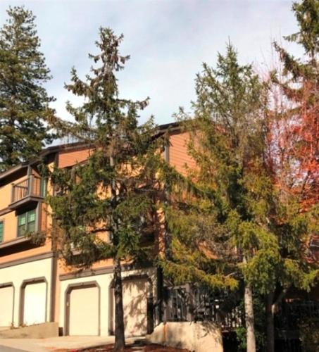 RedAwning Highway 189 2 - V044 in Lake Arrowhead, USA