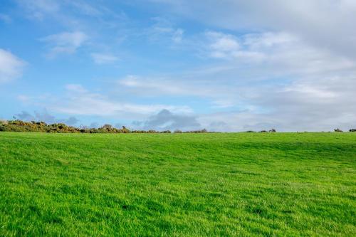 Bwythyn-y-Wennol - image 6