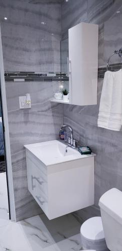 Shower, M/H(#4)cozy APT#2 near the airport and the beach in Carolina