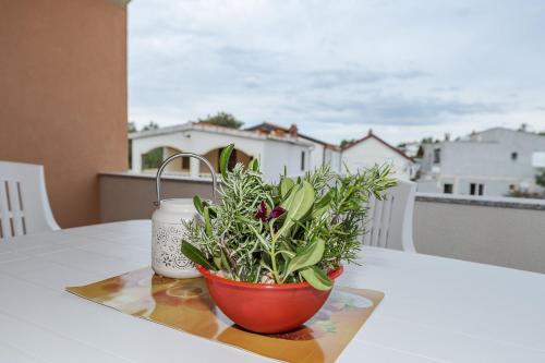 Apartment Simic, Vir (foto 9)