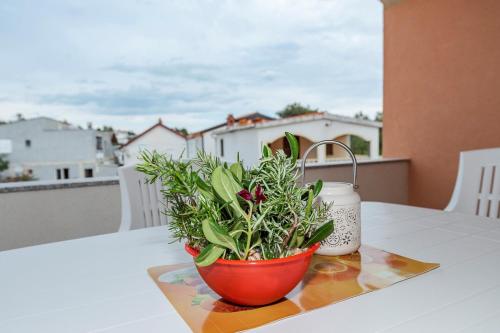 Apartment Simic, Vir (foto 2)