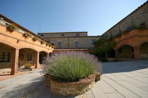 Antica Cortona 4