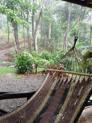 Dārzs, Cabaña Eco-Arte (Cabana Eco-Arte) in Ojochal