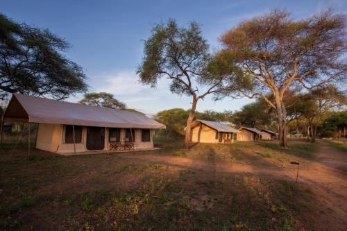 Baobab Tented Camp in Tarangire