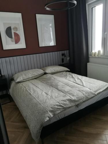 Apartament COSY CAVE