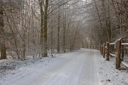 สภาพแวดล้อมโดยรอบ, Storm's stay - Near MCH & BOXEN in เฮแนง