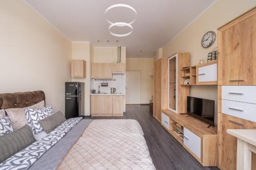 Grizinkalns studio apartments, Riga (fotografie 6)